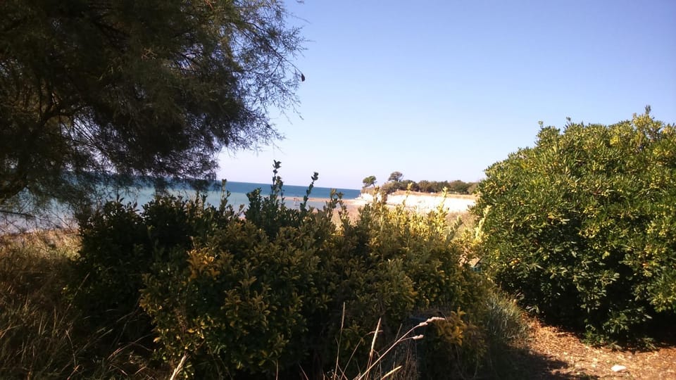 Sea view