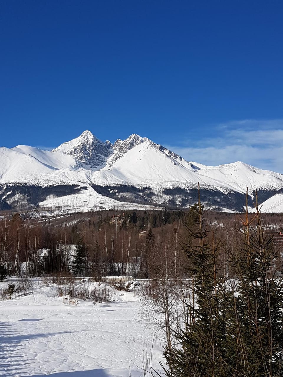 Mountain view