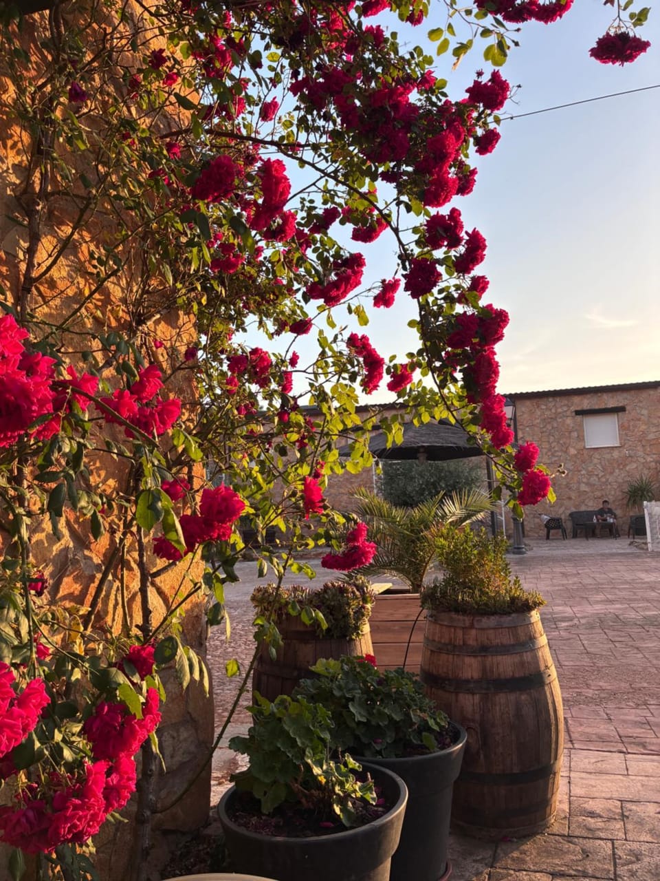 Turismo Rural Santa Lucia Apartment in Aragon