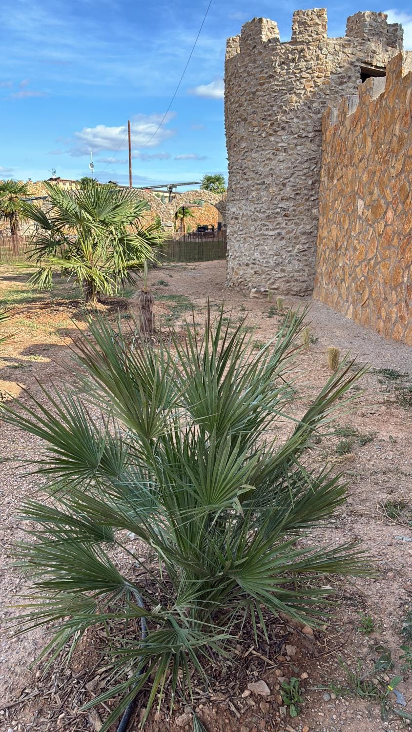 Turismo Rural Santa Lucia Apartment in Aragon