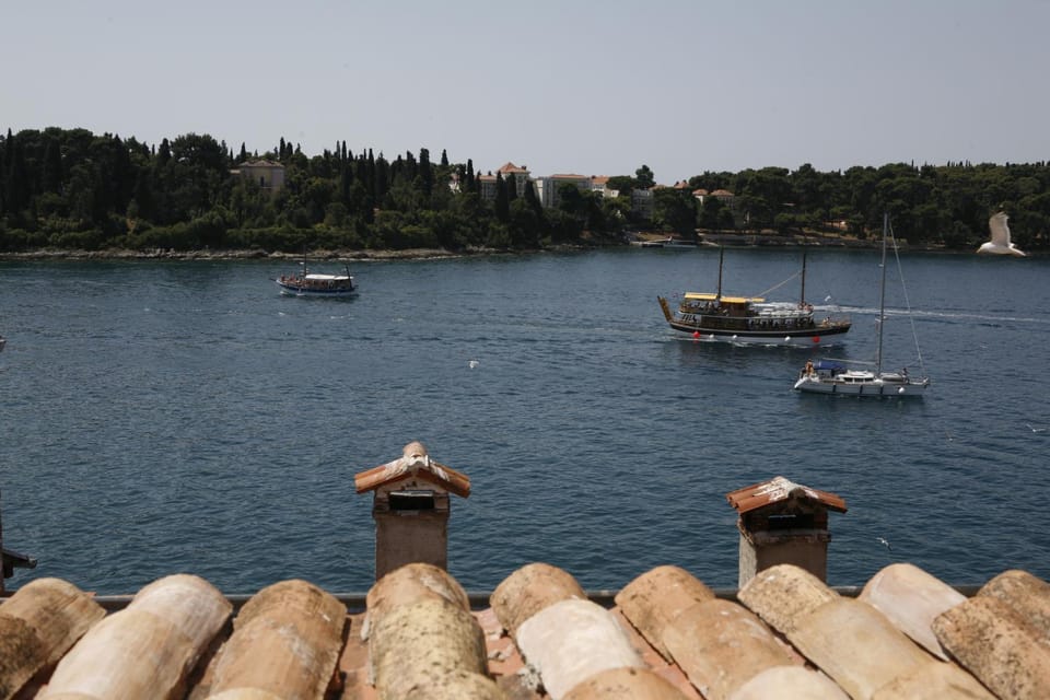 Day, Summer, Other, Area and facilities