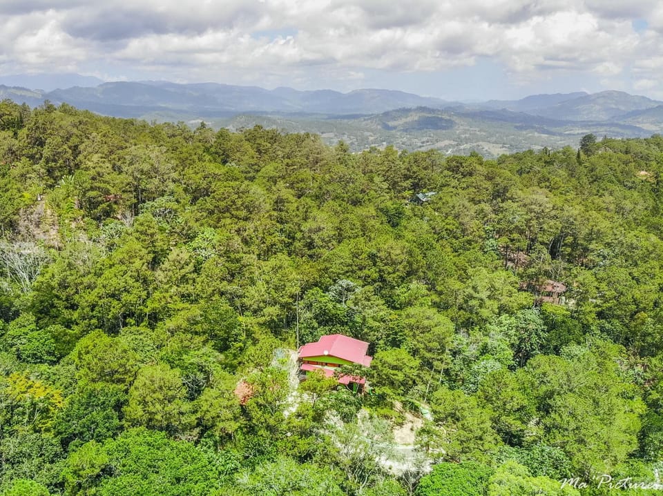 Natural landscape, Bird's eye view, View (from property/room), Mountain view
