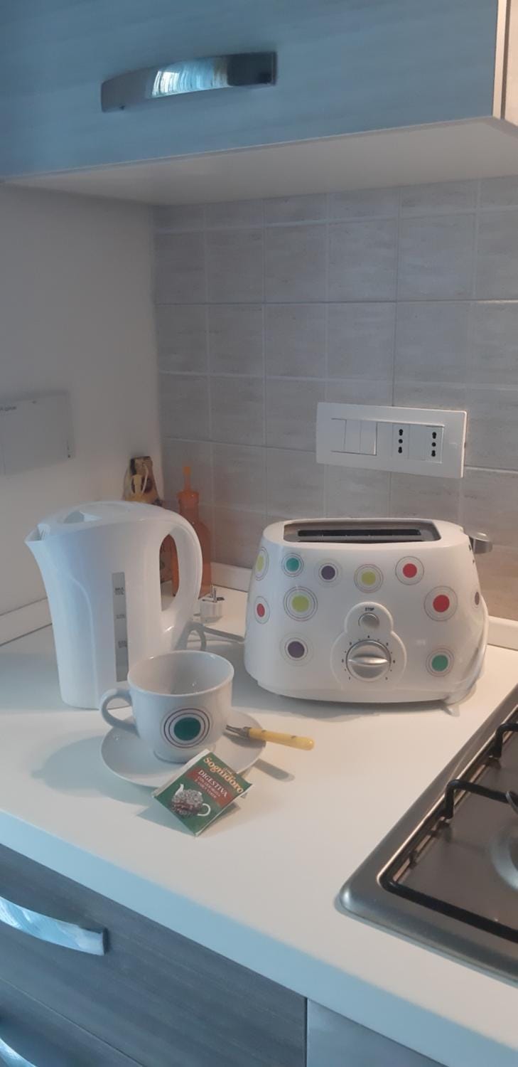 Coffee/tea facilities, Kitchen or kitchenette, toaster