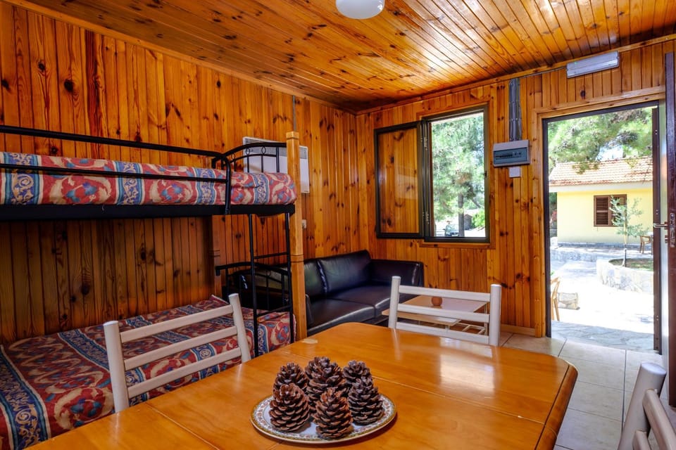 Living room, bunk bed