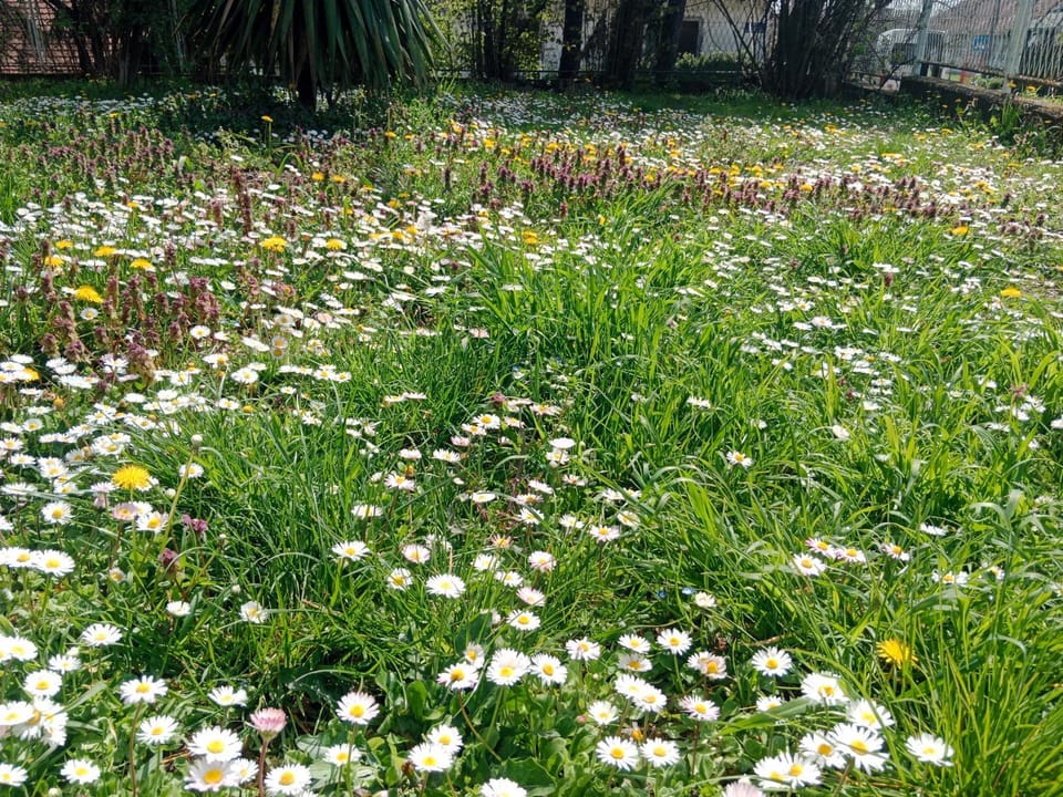Apartmani Ostojic Apartment in Vojvodina