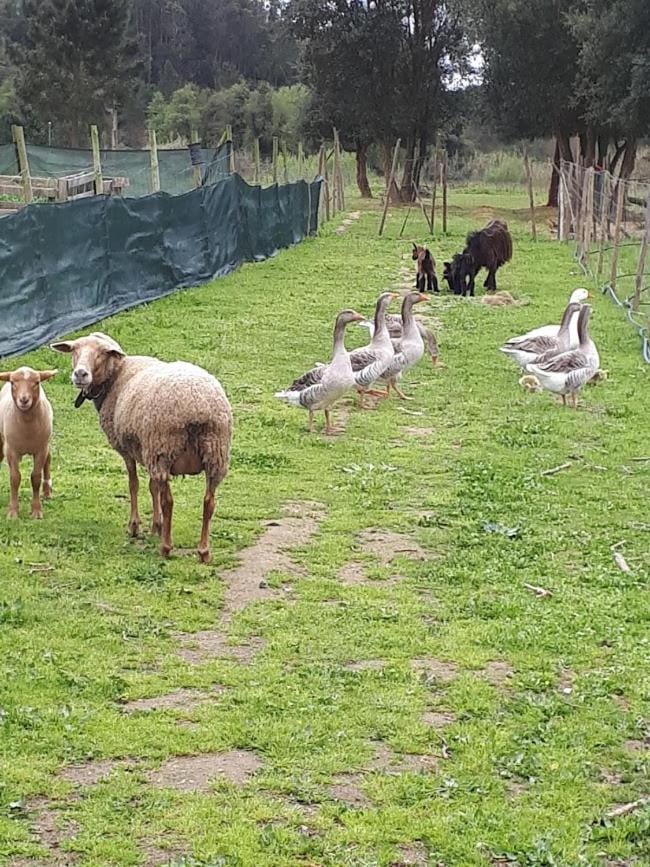 Granja MG Vacation rental in Lisbon District