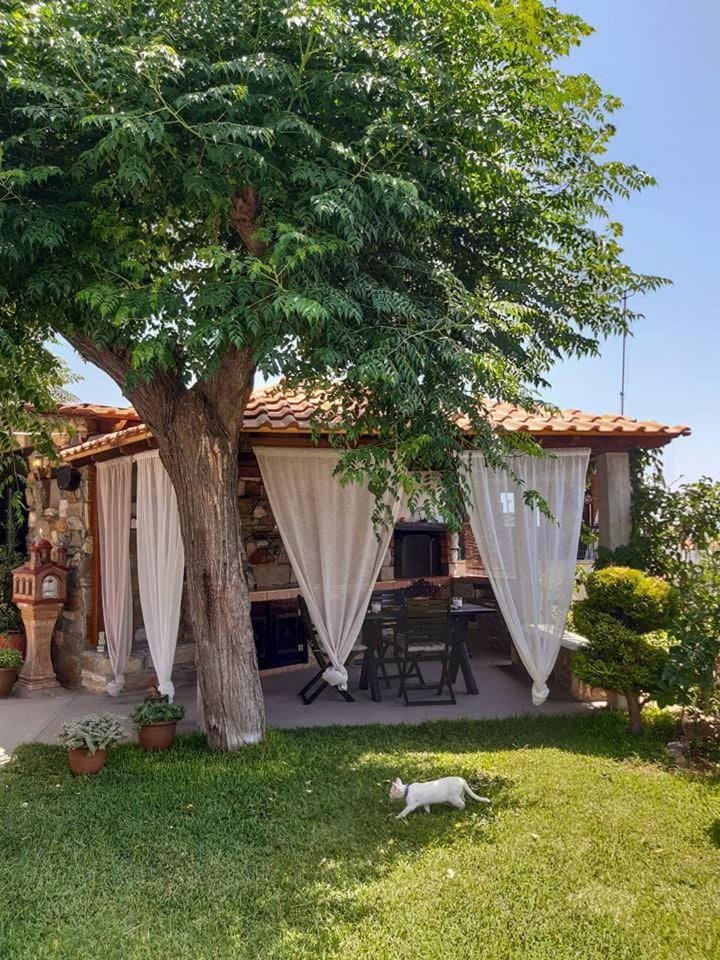 Patio, Garden, Garden, Garden view
