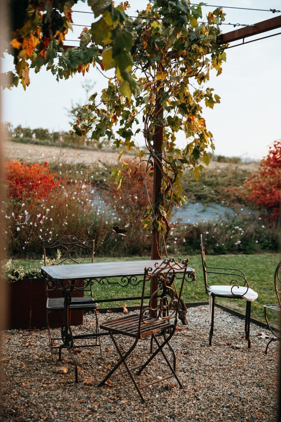 Garden view