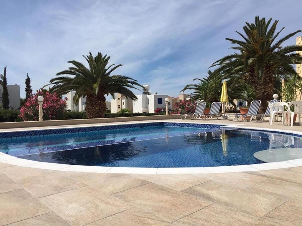 Day, Pool view, Swimming pool, sunbed