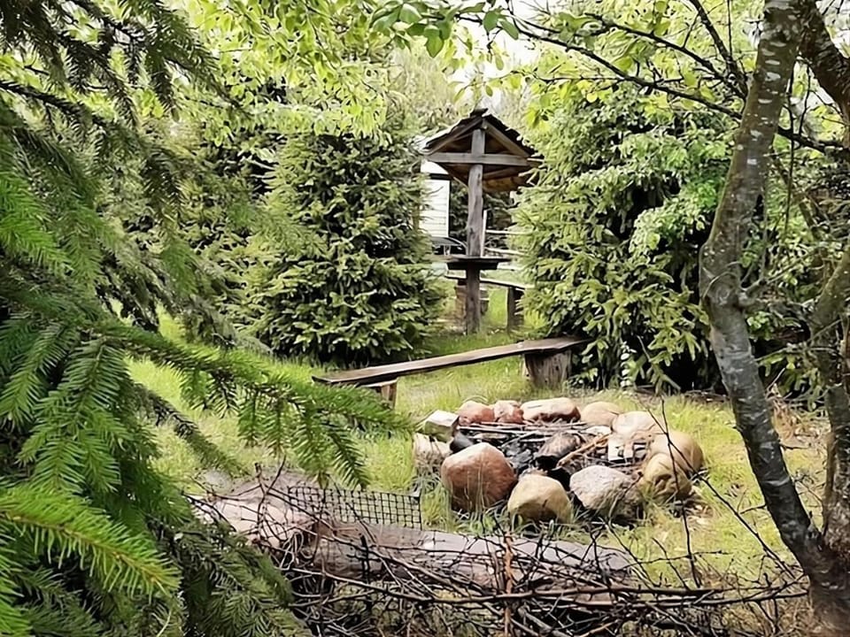 Spring, Day, Natural landscape, Garden, Garden view