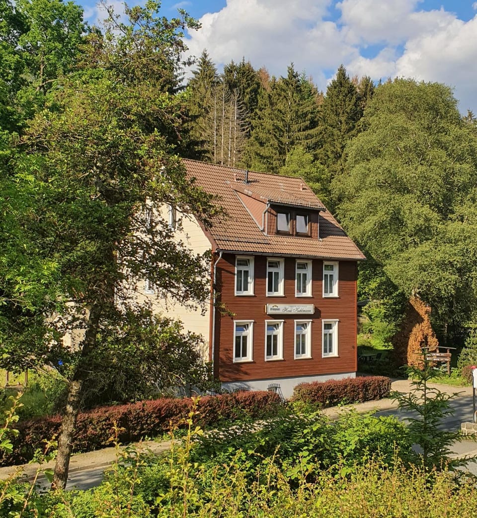 Property building, Summer