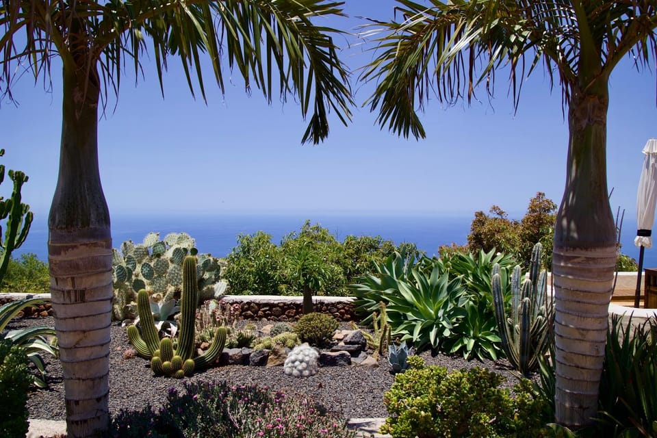 Garden, Sea view