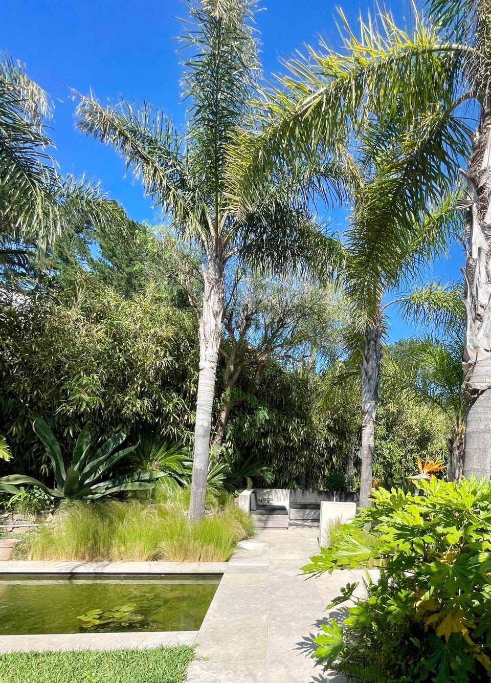 Garden view