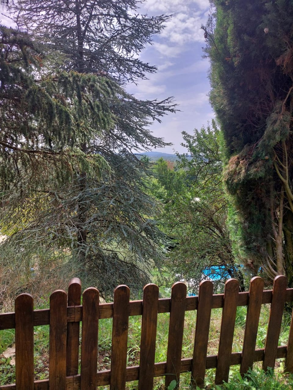 Casale Sant'Elia Bed and Breakfast in Lazio