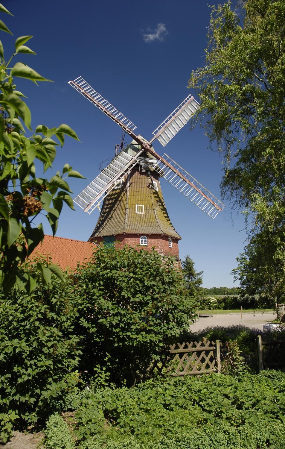 Nearby landmark, Neighbourhood, Area and facilities