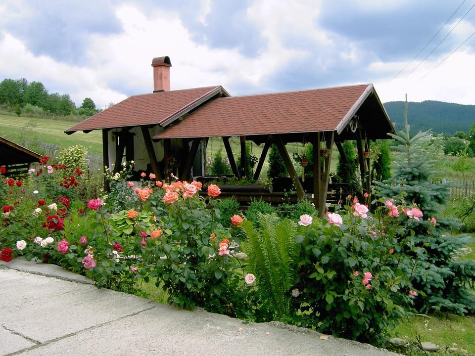Natural landscape, Garden view