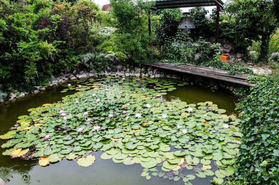 Pigál Panzió Bed and Breakfast in Hungary