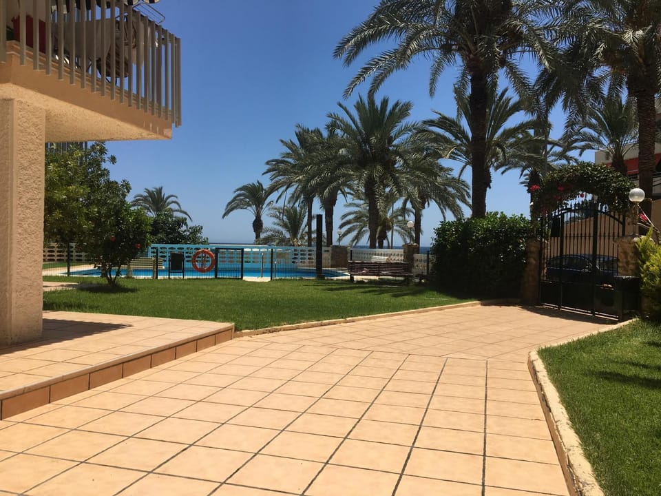 Garden, Swimming pool