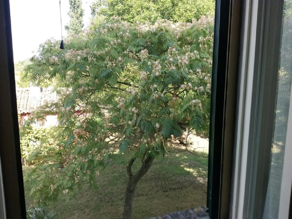 Spring, Day, Garden, Garden view