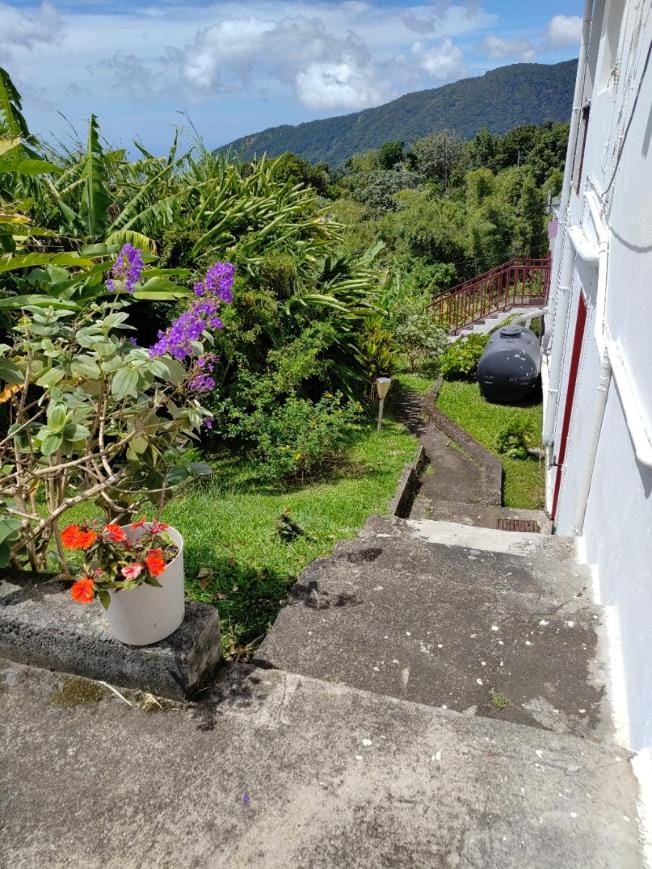Les Pimentiers de Papaye House in Leeward Islands