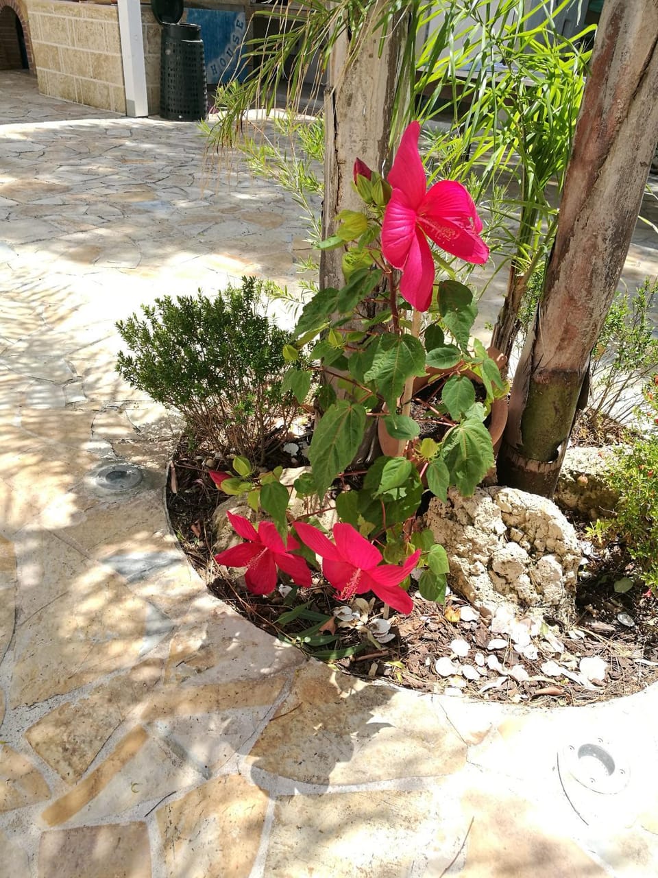 Garden, Garden view