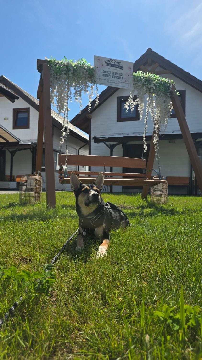 Białe Domki Mrzeżyno, wypoczynek w ciszy i zieleni Nature lodge in West Pomeranian Voivodeship, Poland