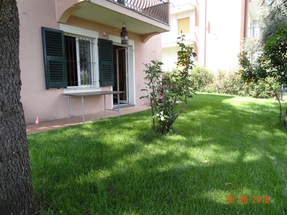 Garden, Garden, On site, Garden view, Garden view