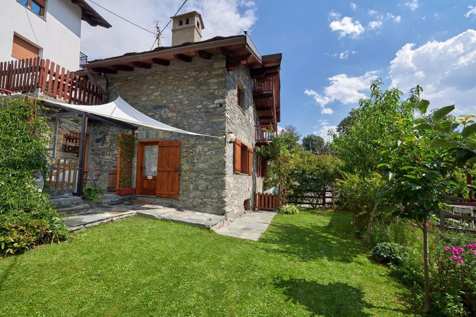 Patio, Garden, Garden
