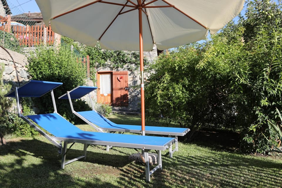 Garden, sunbed