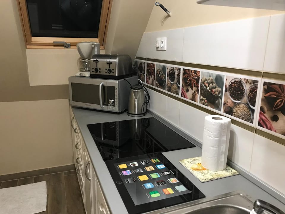 Coffee/tea facilities, Kitchen or kitchenette, minibar, stove, toaster