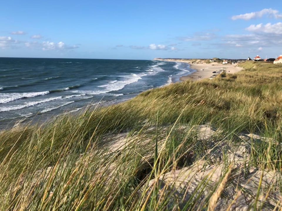 Neighbourhood, Natural landscape, Beach