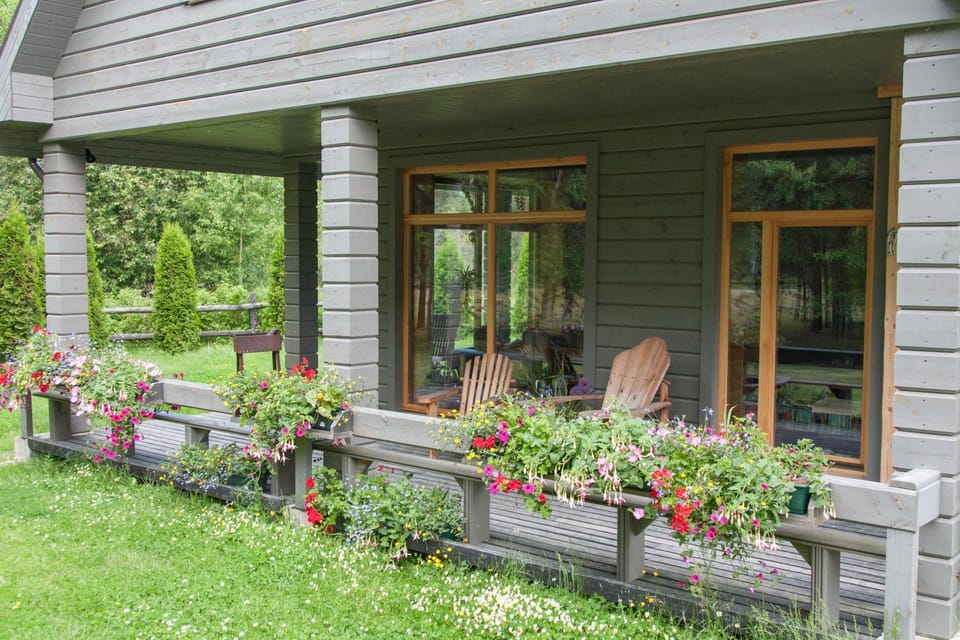 Patio, Day