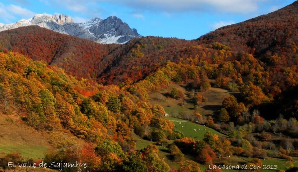 La Casona de Con Country House in Asturias