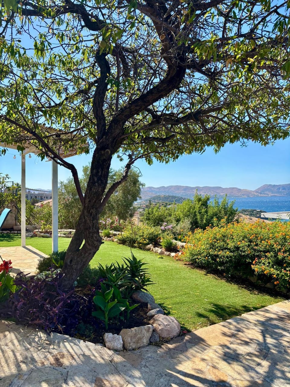 Garden, Sea view