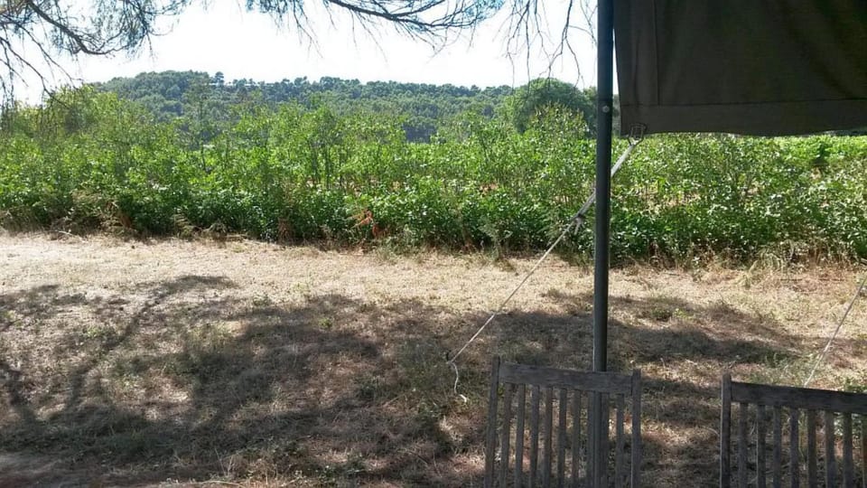 Acacia Luxury tent in Mazan
