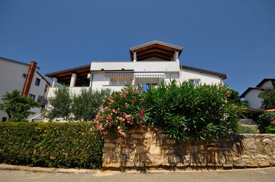 Vera Apartment in Novigrad