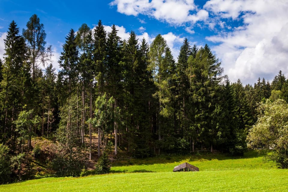 Natural landscape, Summer, Garden, On site, Mountain view