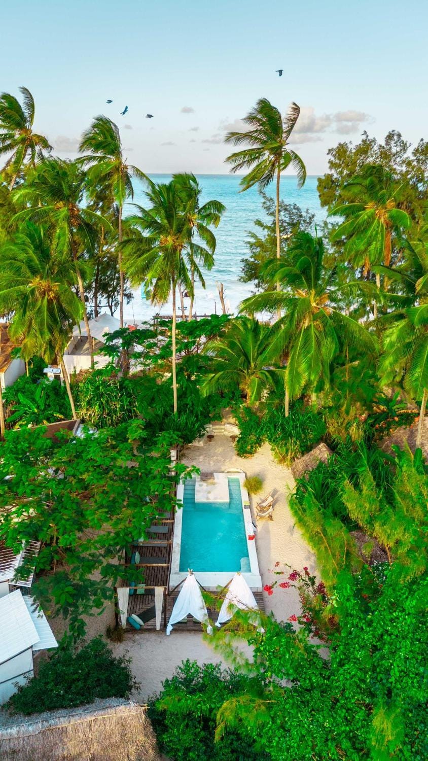 Day, Bird's eye view, Garden, Beach, Garden view, Swimming pool, Swimming pool