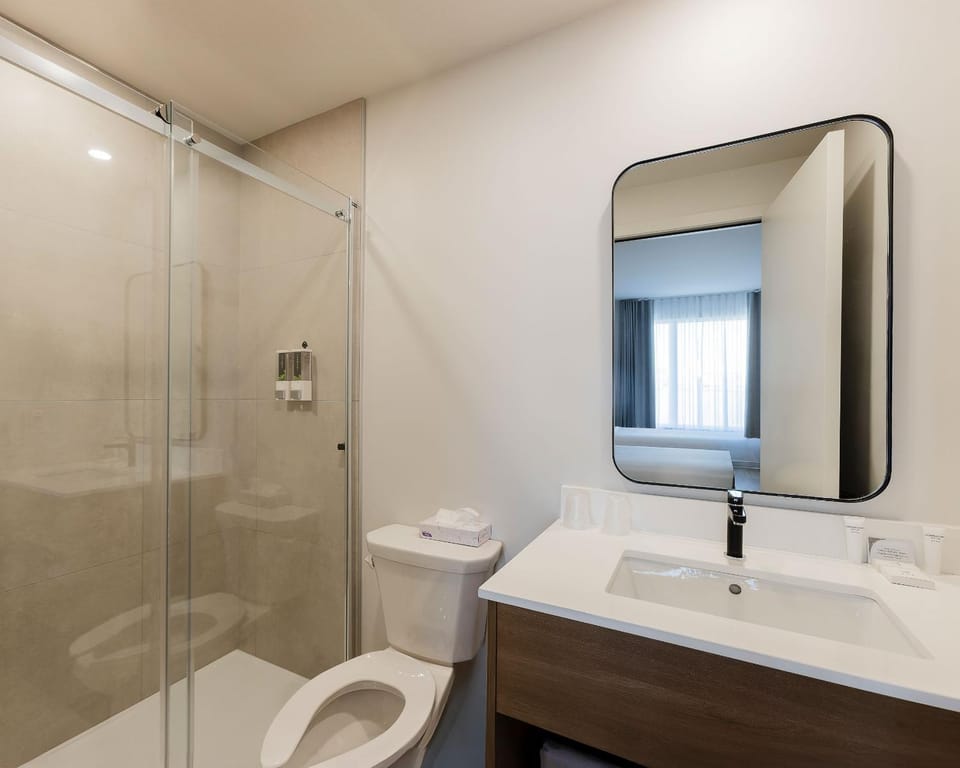 Shower, Toilet, Bathroom, towels
