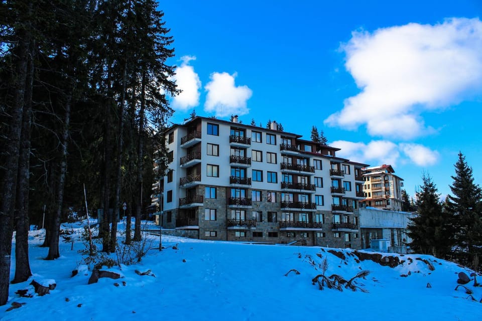 Property building, Winter