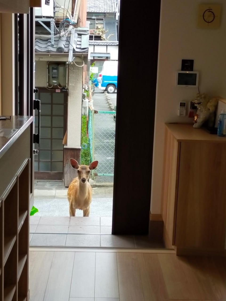 Mini inn Nara - Nara historic district Bed and Breakfast in Japan