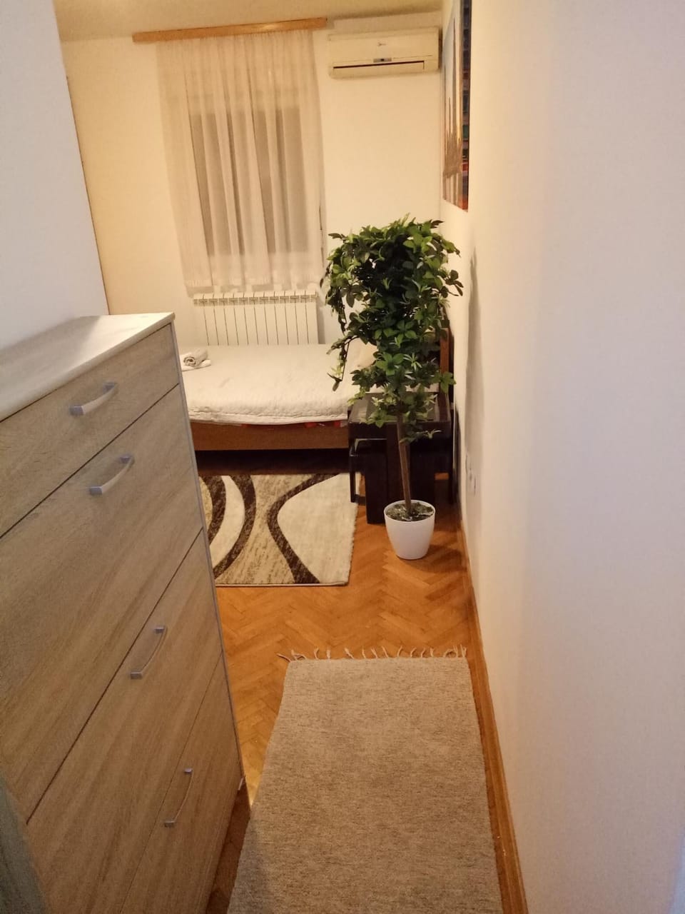 Cozy studio Belgrade (Zemun) Apartment in Belgrade