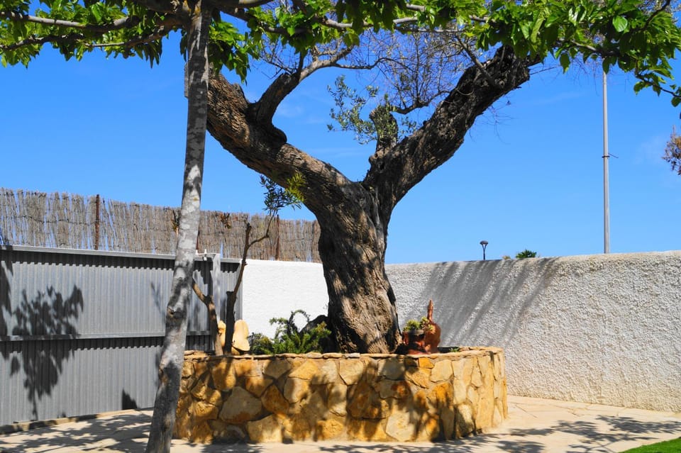 Patio, Spring, Day, Natural landscape, Beach
