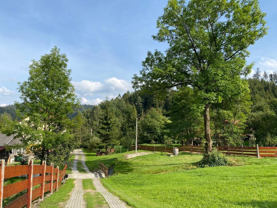 View (from property/room), Garden view, Mountain view