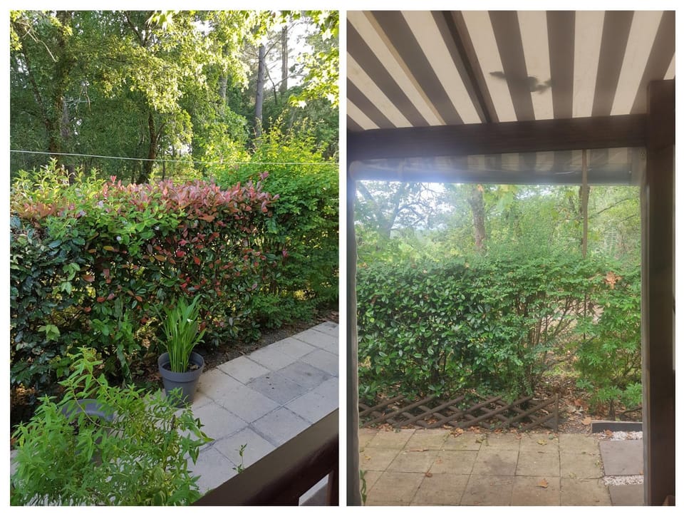 Garden view
