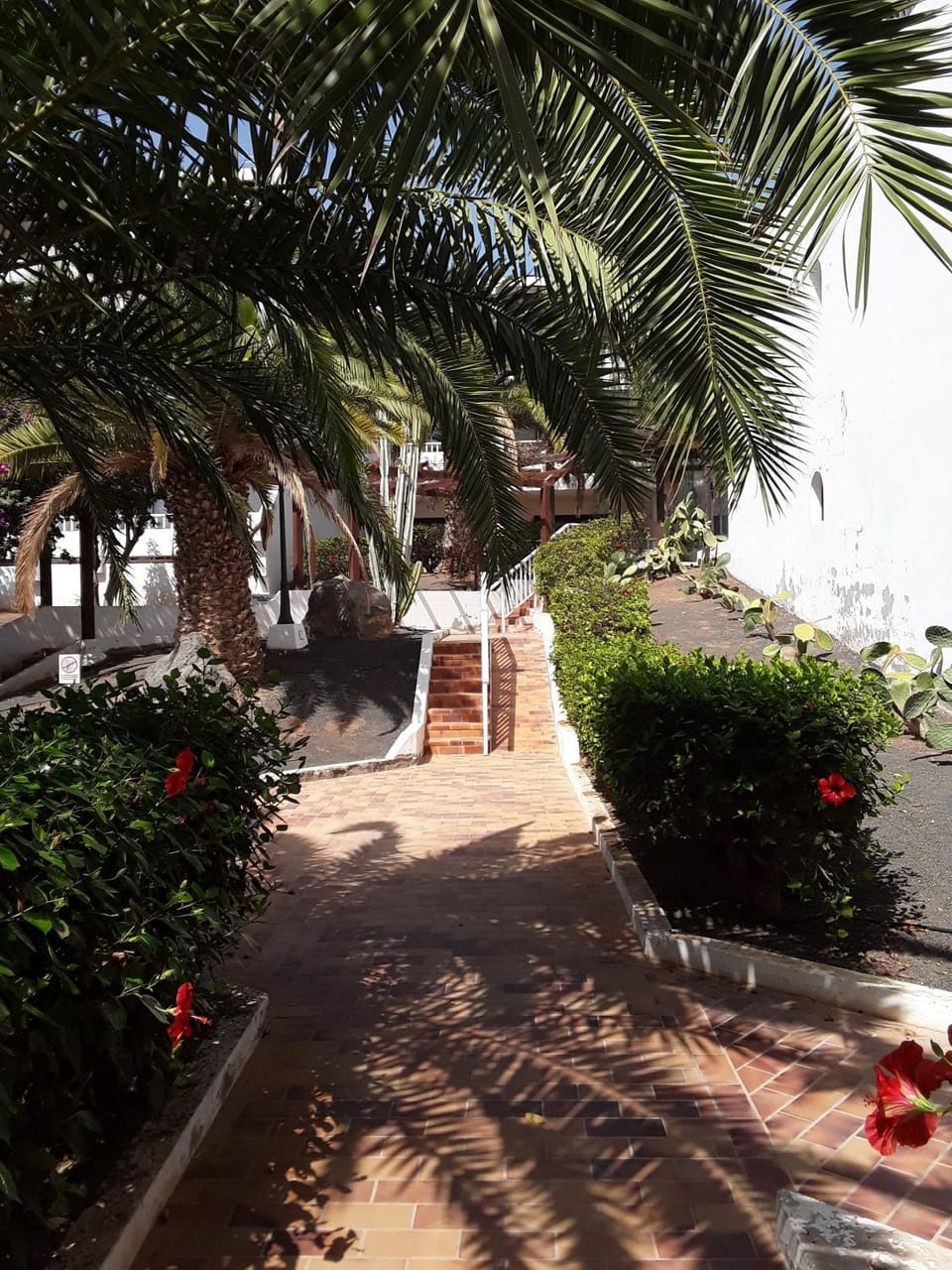 Le farniente Apartment in Costa Teguise