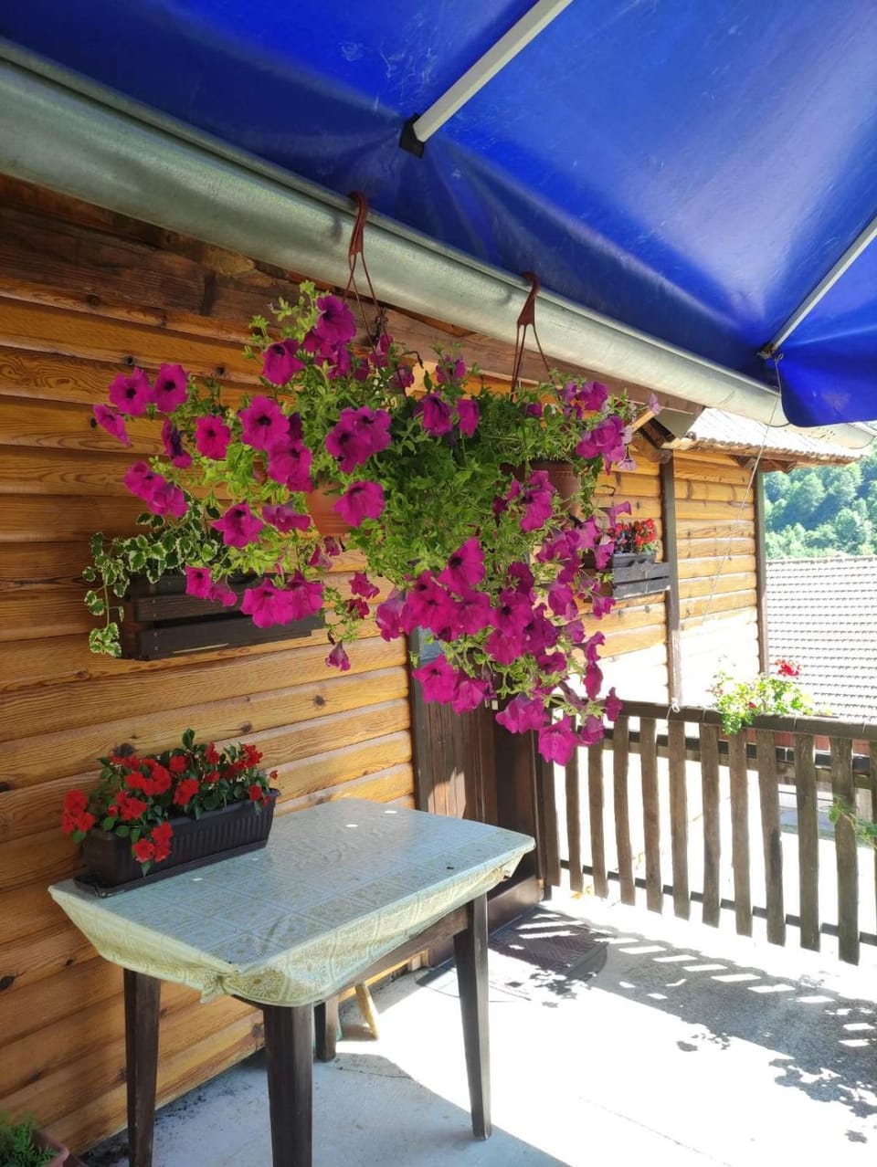 Domacinstvo Prentovic Country House in Zlatibor District, Serbia