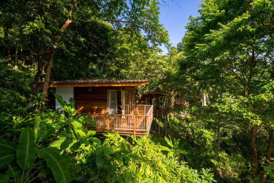 The Ocean Phangan Homestay Resort in Ban Tai