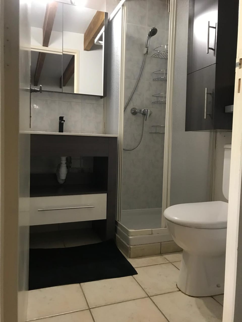 Shower, Toilet
