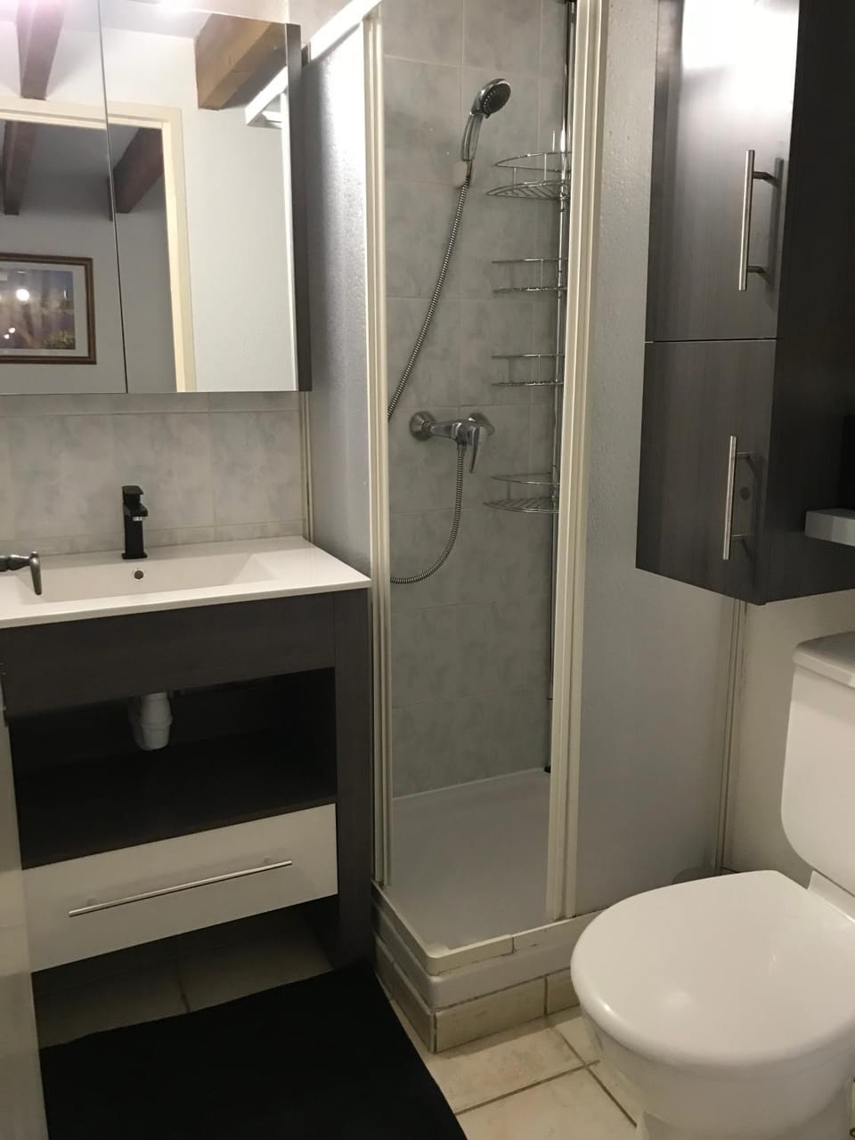 Shower, Toilet